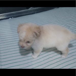 Meet your Posher, Katia